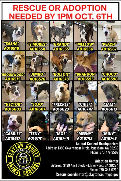 Clayton county animal control - Friends of Clayton County Animal Control GA dogs. THIS IS BIG NEWS! New adoption fees and all the new goodies they come with. NOW prior to leaving CCAC all adopted animals will be, Spayed/neutered!...